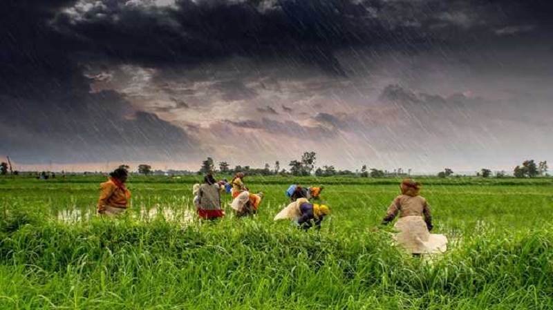 मॉनसून सामान्य रहना भारत की खाद्य सुरक्षा के लिहाज से भी अहम संकेत है।