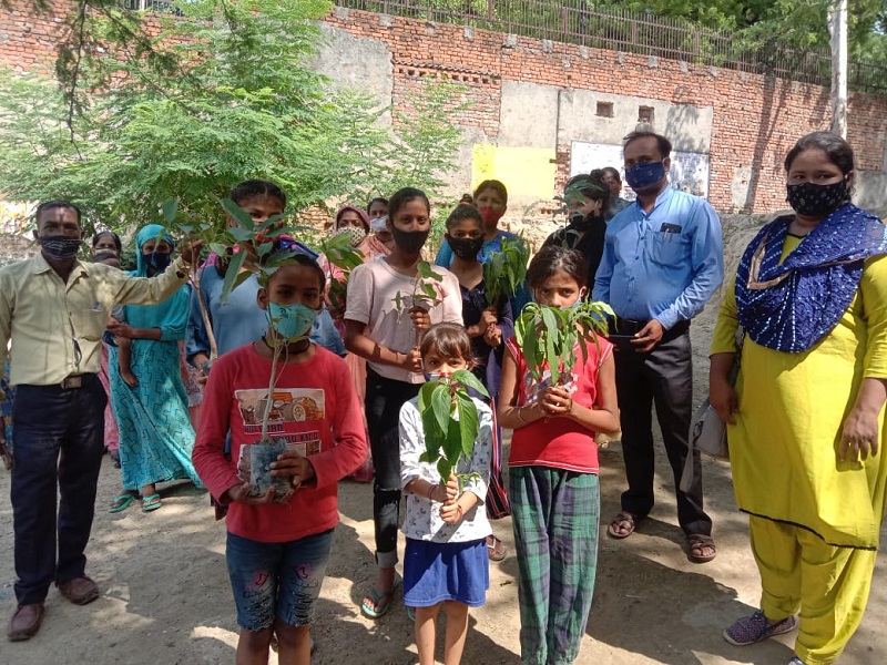 वादा फाउंडेशन ने पौधारोपण कर लोगों को किया जागरूक।