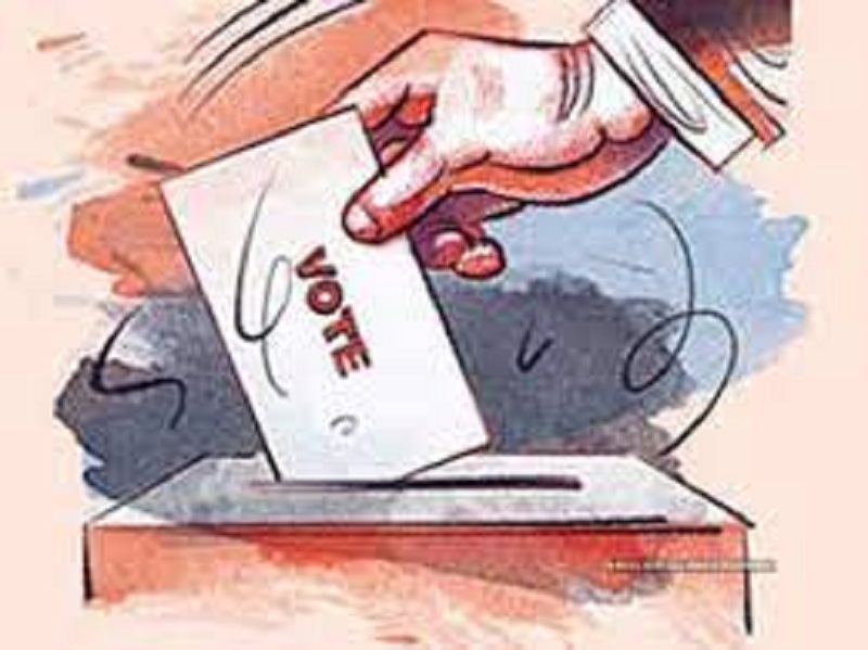 चुनाव पहली बार ऑनलाइन वोटिंग के ज़रिए करवाए गए।