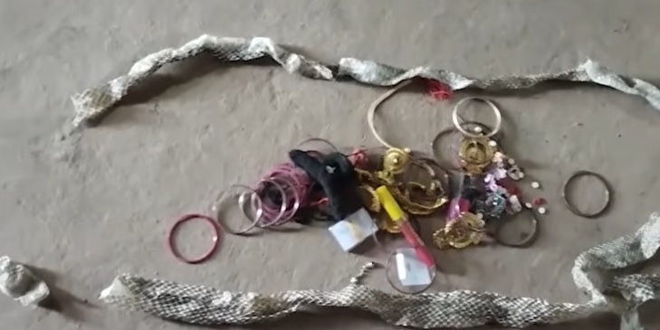 बिस्तर पर सांप की केंचुली पड़ी थी।